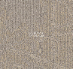 Ковровая плитка Milliken Arctic Survey shk 121-48 True North фото 1 | FLOORDEALER